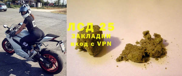 дурь Ельня