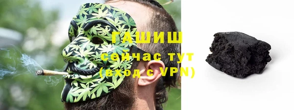 мдпв Елабуга