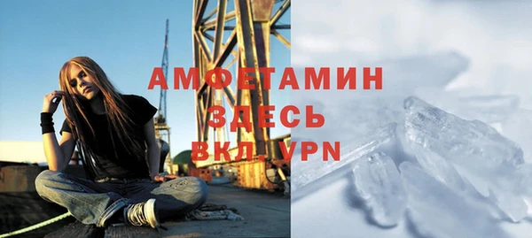 мдпв Елабуга