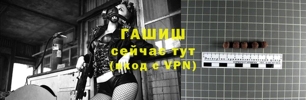 дурь Ельня