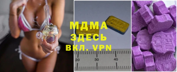 мдпв Елабуга