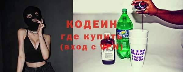 дурь Ельня