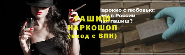 мдпв Елабуга