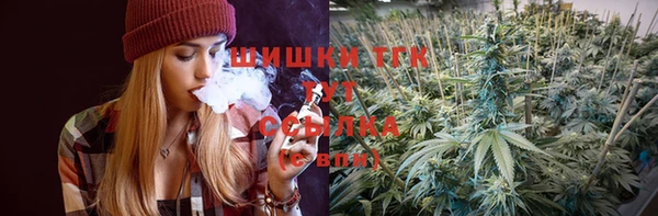 дурь Ельня