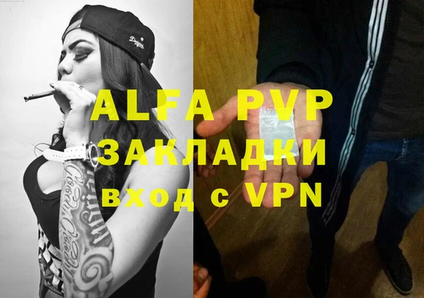 дурь Ельня