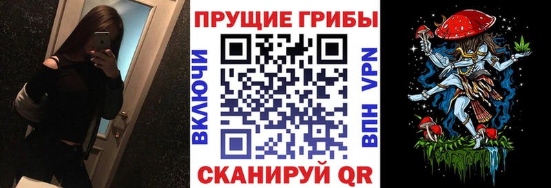 Купить закладки  Малая Вишера  Псилоцибиновые грибы мухоморы 